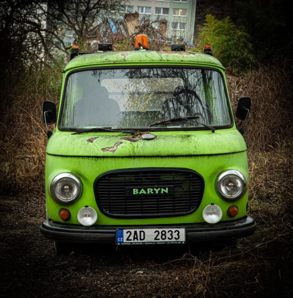 baryn-zeleny.jpg