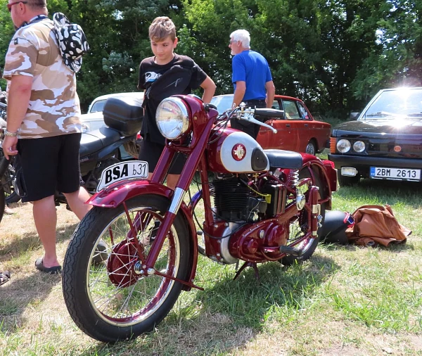 BSA-B31.JPG